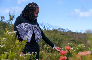 African flowers in bloom