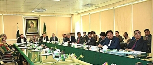 Meeting of Pakistan’s ministerial review committee on Dec. 4, 2024. 