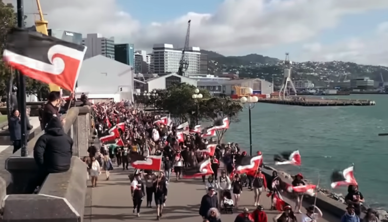 Thousands take part in Māori protests in New Zealands capital in November 2024