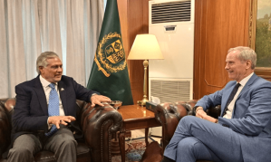 Deputy Prime Minister and Foreign Minister Ishaq Dar (L) with EU Special Representative for Human Rights Olof Skoog.