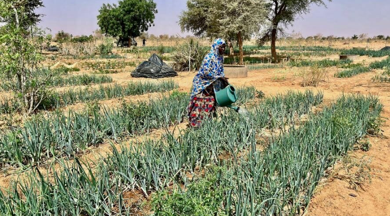 Niger land reclamation