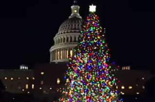 US Capitol Christmas Tree guidelines no longer ban religious ornaments, Christian group says