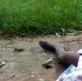 Christian convert couple slain for their faith