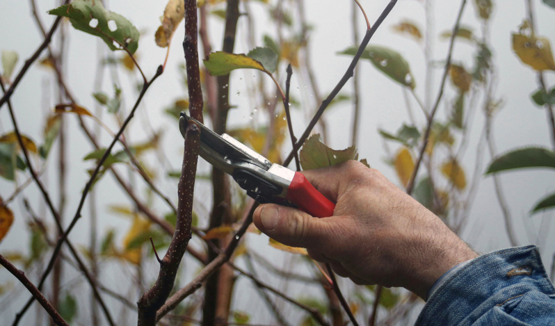 Damaging detachment (by Jay Matenga)