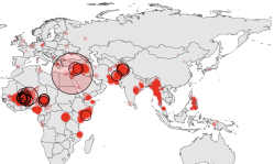 Africa surpasses Middle East as the epicenter of terrorism, according to 2024 global index
