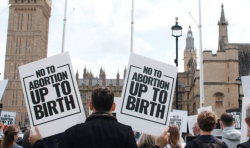 Pro-life groups unite in protests at UK Parliament to denounce decriminalization of abortion up to birth