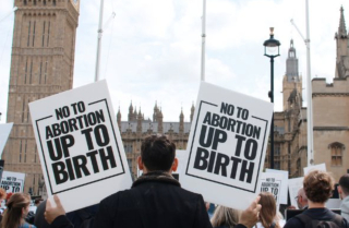 Pro-life groups unite in protests at UK Parliament to denounce decriminalization of abortion up to birth