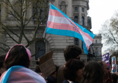 England & Wales census figures for transgender population likely overstated due to language issue