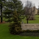 Wheaton College alumni flood petition for leadership change amid 'pernicious drift'