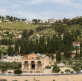 When holy places are spat upon: a cry from a Christian pastor and leader in Jerusalem