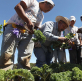 Evangelical body welcomes US pause on deporting immigrant laborers in agriculture and hospitality