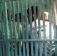 Fate of Christian refugees India cast into sea still unknown