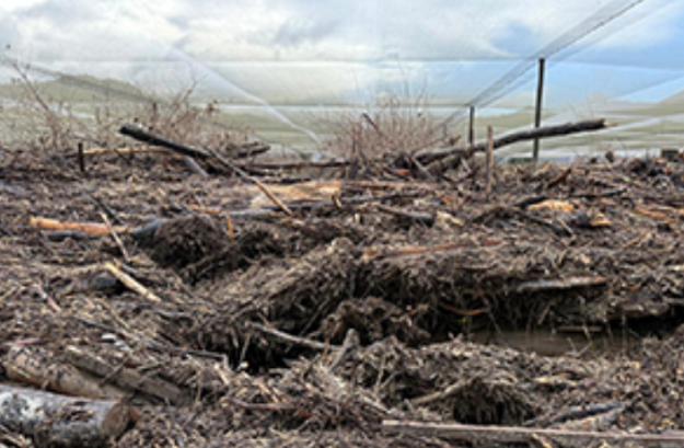 New Zealand Christian Network calls for prayer amid Nelson Tasman flood recovery