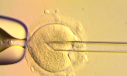 UK babies born using DNA from three people raise ethical questions