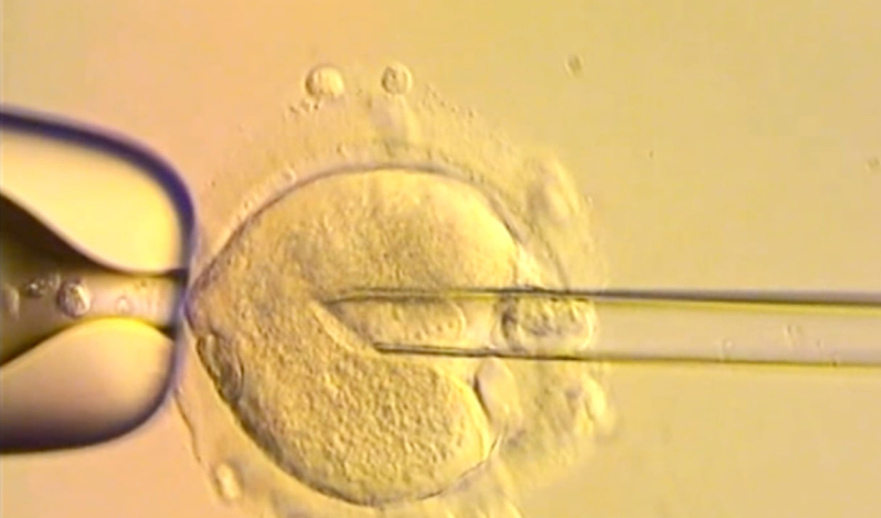 UK babies born using DNA from three people raise ethical questions