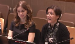 Surrogacy industry dehumanizes women and children, should be banned globally, UN expert says