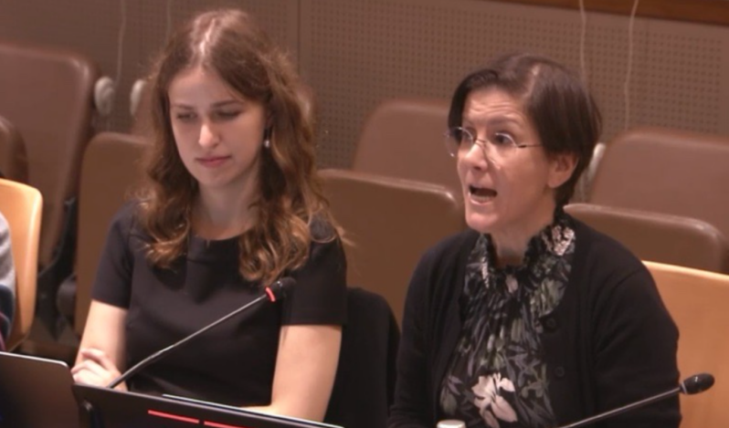 Surrogacy industry dehumanizes women and children, should be banned globally, UN expert says