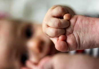 73 million defenseless people were killed last year. Here’s why