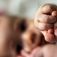 73 million defenseless people were killed last year. Here’s why
