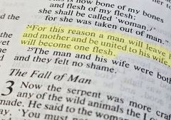 Asian evangelical leaders discuss pastoral response to homosexuality through lens of shame culture, discipleship