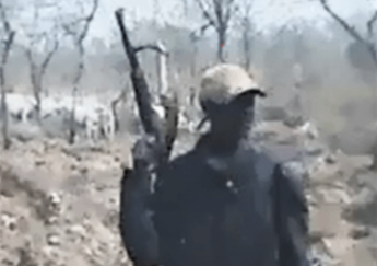Fulani assailants kill 11 Christians in Plateau state, Nigeria