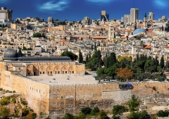 WEA, Jewish interfaith body relaunch formal dialogue on religious freedom, human dignity