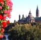 Religious expression defense omitted from hate crime bill in Canada