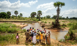 Global evangelical leaders call churches to mark Creation Sunday on Sept. 6