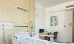 Evangelical Alliance in the Netherlands calls for compassion and high-quality palliative care after child's life is terminated