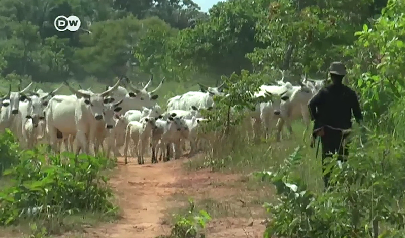Three Christians killed in Plateau state, Nigeria